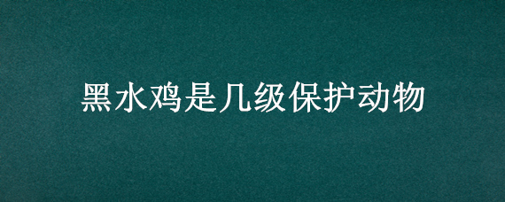 黑水鸡是几级保护动物