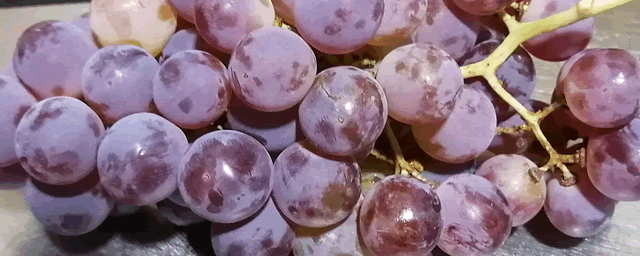 葡萄冬天怎么保护