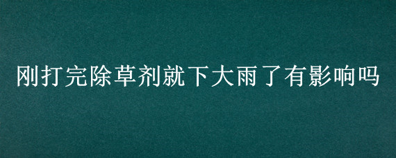 刚打完除草剂就下大雨了有影响吗