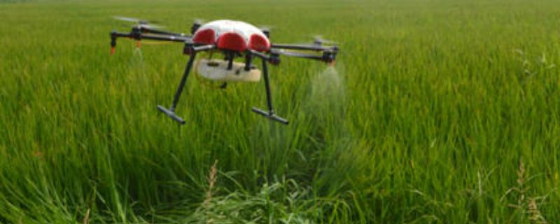 扬彩杀菌剂的功效附使用注意事项