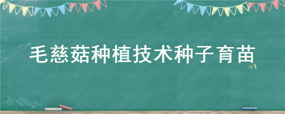 毛慈菇种植技术种子育苗