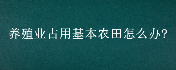 养殖业占用基本农田怎么办?