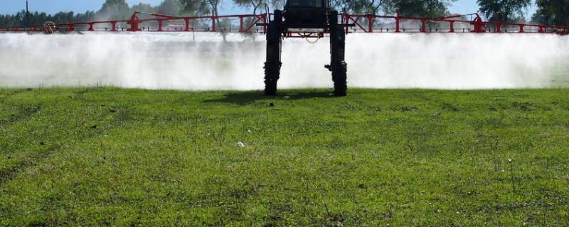 啶虫脒主要杀什么虫属于哪一类农药