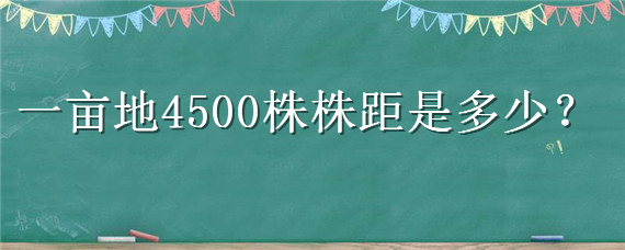 一亩地种植4500株株距是多少？