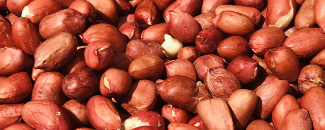 花生多少钱一斤