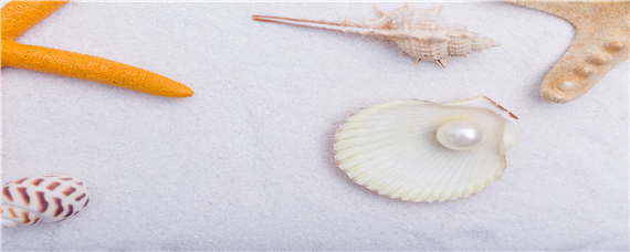 珍珠是怎么养出来的