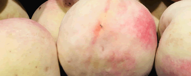 黄金桃多少钱一斤