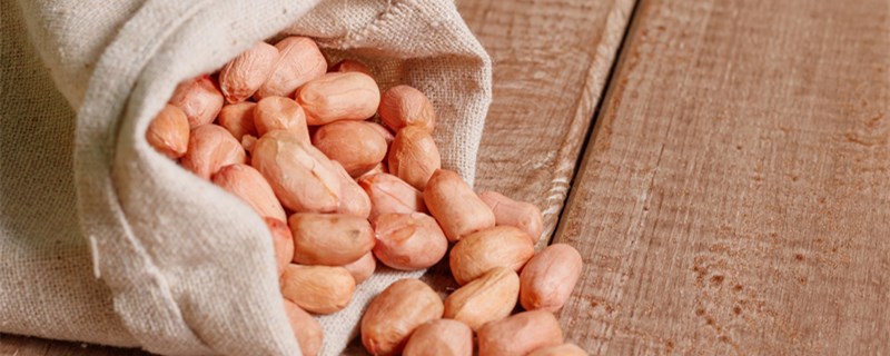 花生是果实还是种子