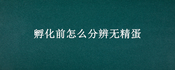 孵化前怎么分辨无精蛋