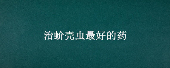 治蚧壳虫最好的药