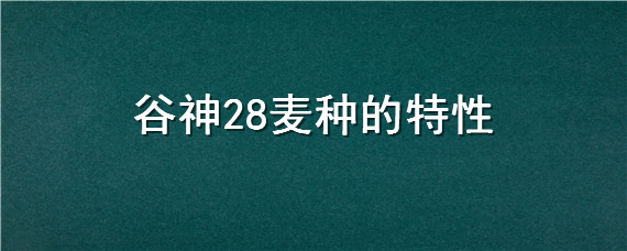 谷神28麦种的特性