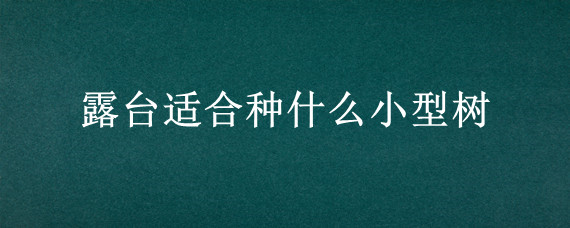 露台适合种什么小型树
