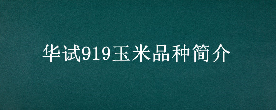 华试919玉米品种简介