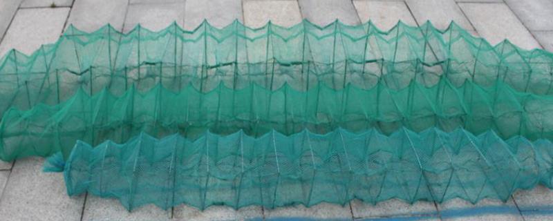 地笼不进鱼的原因一般几小时收一次