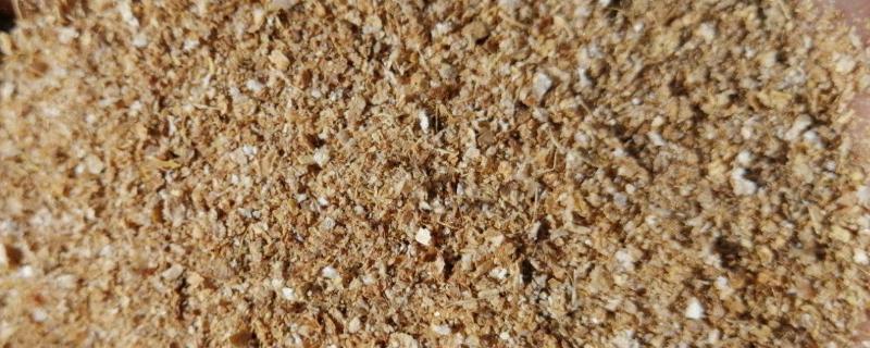 榨油后的花生渣怎么做肥料花生渣可以做饲料吗