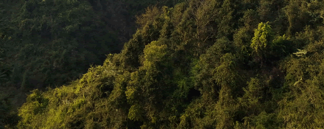 为什么养蛇亏的人多