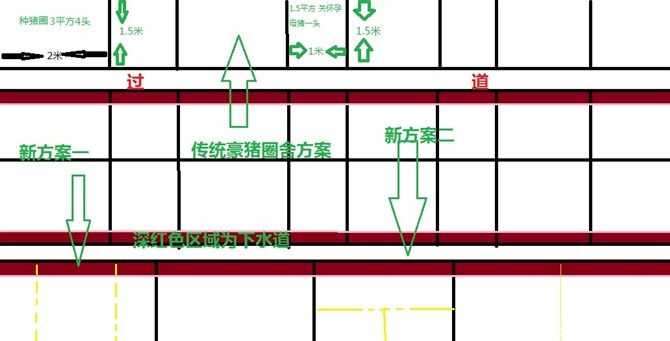 豪猪养殖池建造及其要点