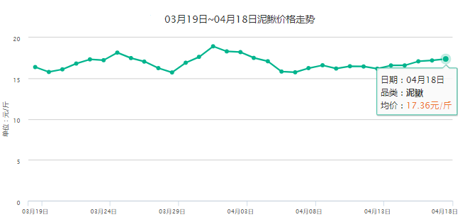 现在泥鳅价格行情分析