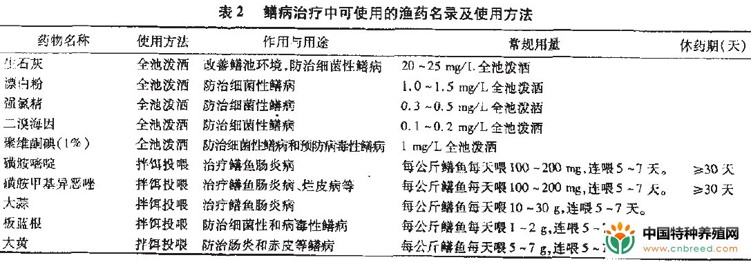 无公害黄鳝养殖技术规程(5)