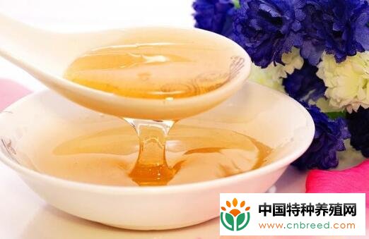 百花蜜的作用与功效分别有哪些？