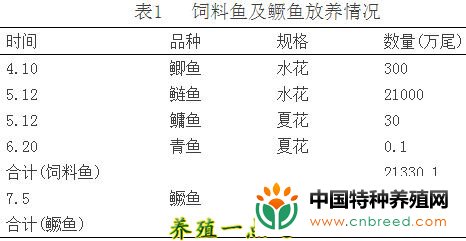 小型水库主养鳜鱼高效试验