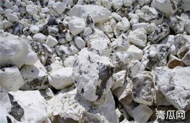 猪场石灰消毒方法介绍