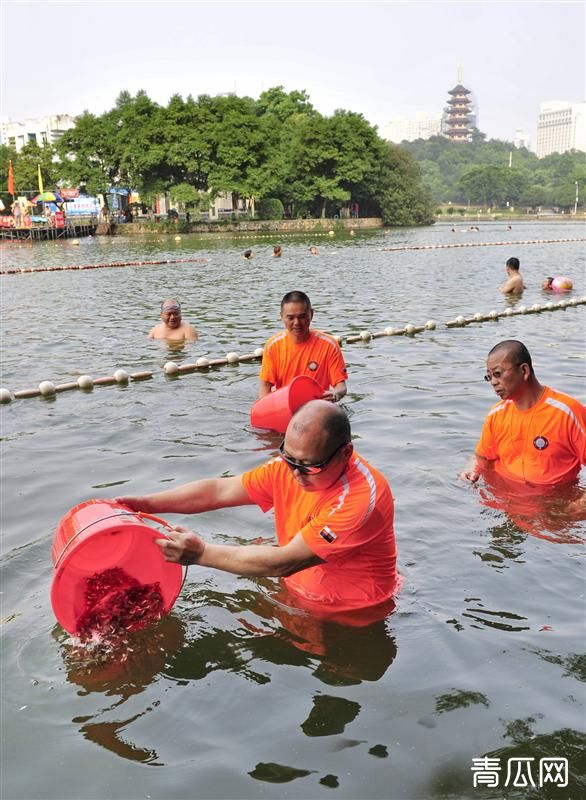 冬季投放鱼苗的技术要点