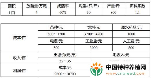 纯淡水养殖南美白对虾可以吗？(8)