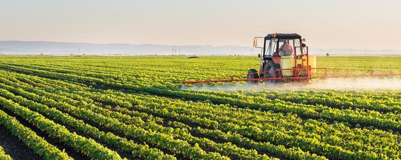 农业种植计划书怎么写?