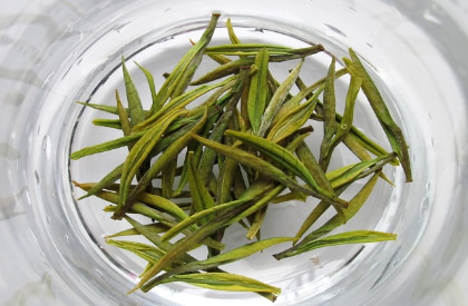 如何辨别白茶的好坏？