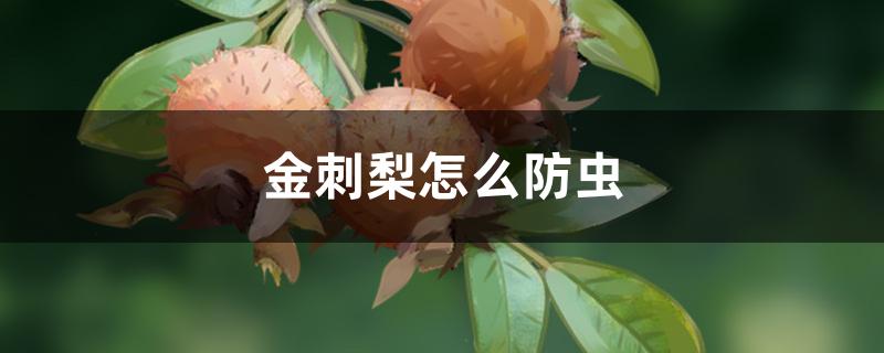 金刺梨怎么防虫