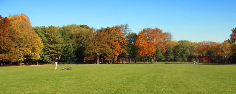 草坪养护人工费多钱一平米