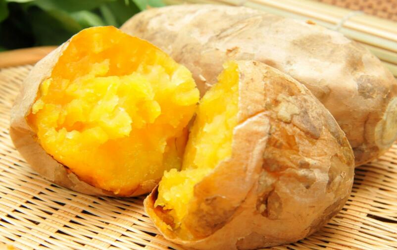 地瓜是什么 常吃地瓜有什么好处？