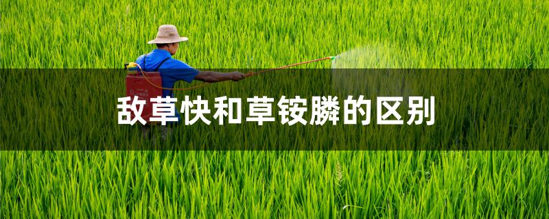 敌草快和草铵膦的区别