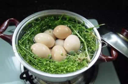 为何三月三要吃地菜煮鸡蛋？吃地菜煮鸡蛋的好处？