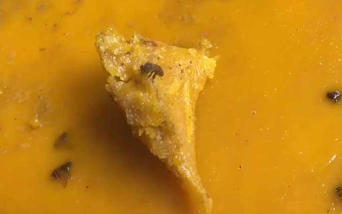 蜂蜡唇膏对人体有害吗