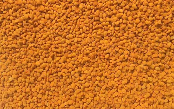 荷花粉适合什么人吃