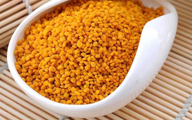 茶花粉和油菜花粉哪个好