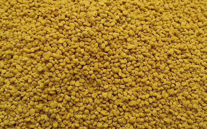 花粉价格多少钱一斤