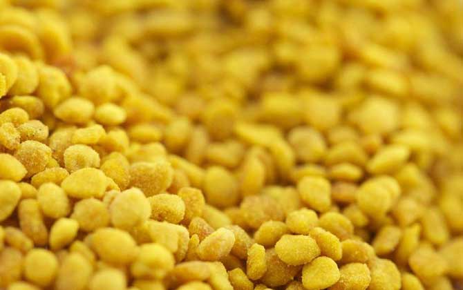 春天花粉过敏怎么办