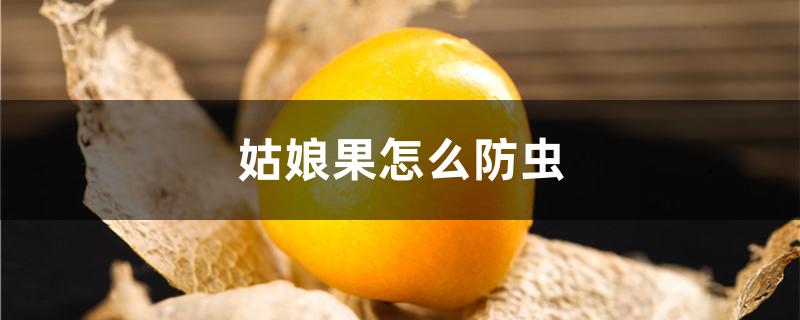 姑娘果怎么防虫