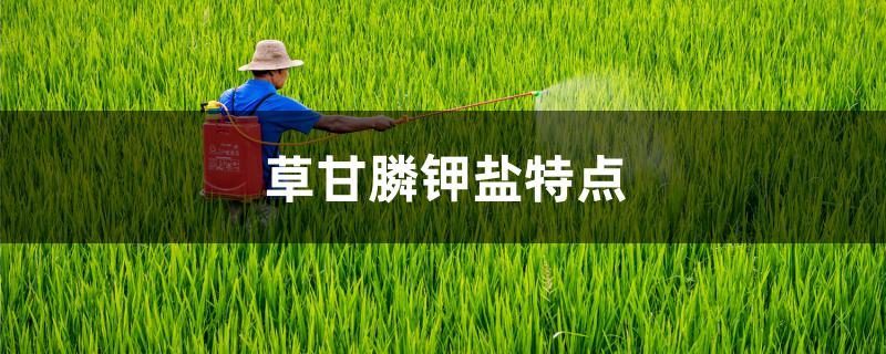 草甘膦钾盐特点