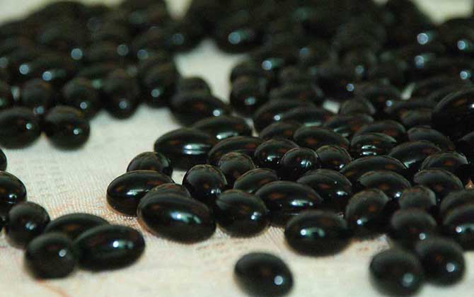 蜂胶对糖尿病的作用是什么