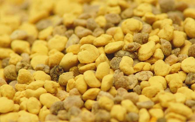 男人吃花粉有什么好处