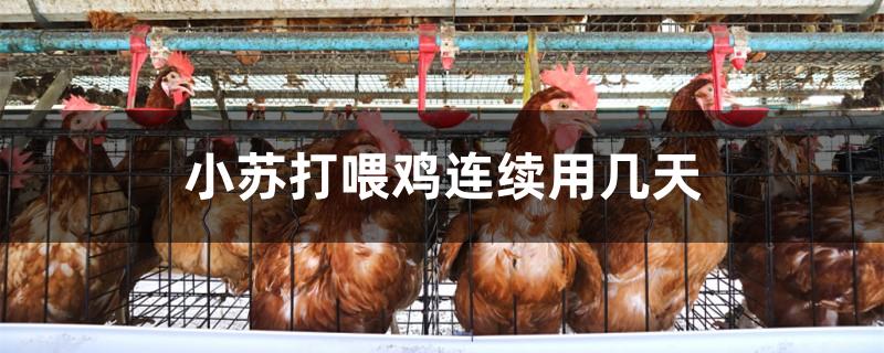 小苏打喂鸡连续用几天