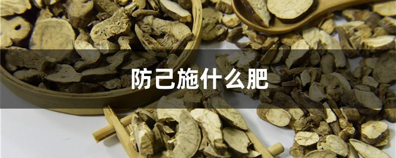 防己施什么肥