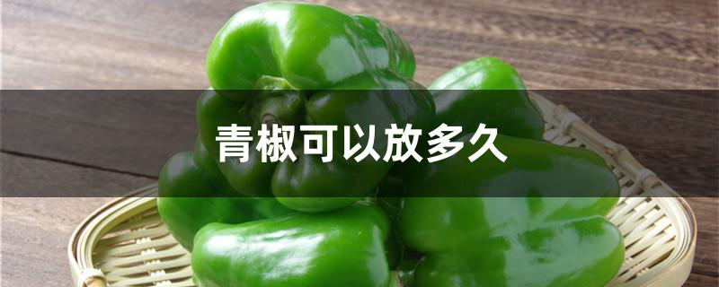 青椒可以放多久
