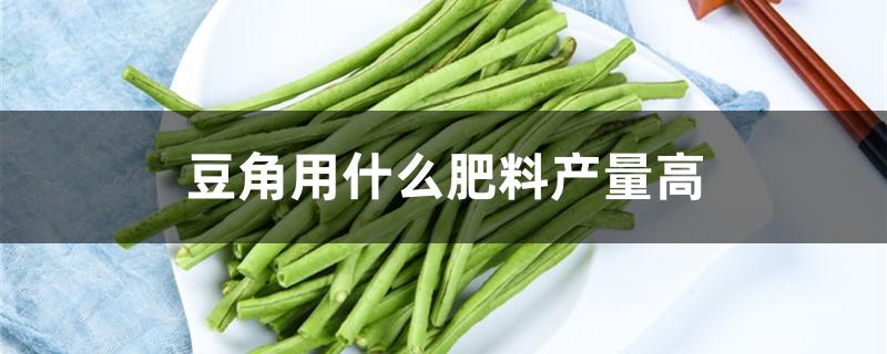 豆角用什么肥料产量高