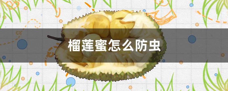 榴莲蜜怎么防虫