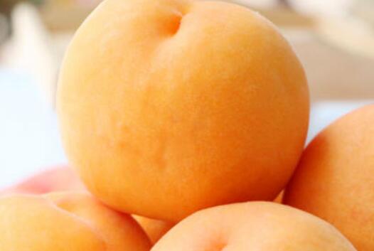 黄金蜜桃和锦绣黄桃的区别 吃桃子的好处